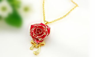 黛雅鍍金真玫瑰花項(xiàng)鏈花朵吊墜女飾品首飾長款鎖骨項(xiàng)鏈女友禮物 款式八 廠家直銷圖片,黛雅鍍金真玫瑰花項(xiàng)鏈花朵吊墜女飾品首飾長款鎖骨項(xiàng)鏈女友禮物 款式八 廠家直銷高清圖片